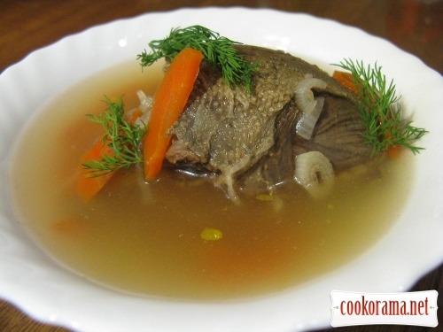 Broth from pigeon