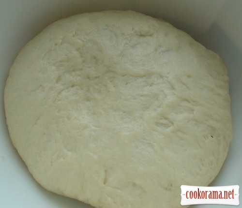 dough before fermentation